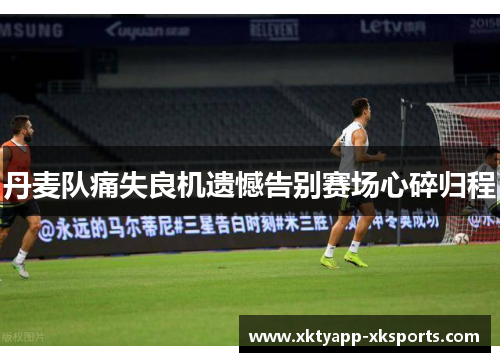 丹麦队痛失良机遗憾告别赛场心碎归程