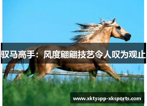 驭马高手：风度翩翩技艺令人叹为观止