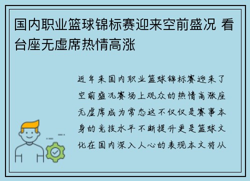 国内职业篮球锦标赛迎来空前盛况 看台座无虚席热情高涨